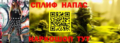 apvp Кандалакша