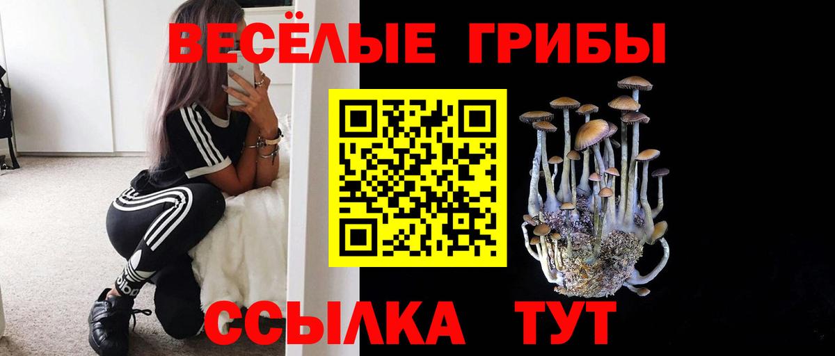 Кимовск  Галлюциногенные грибы Magic Shrooms  Галлюциногенные грибы прущие грибы  Вход с VPN 